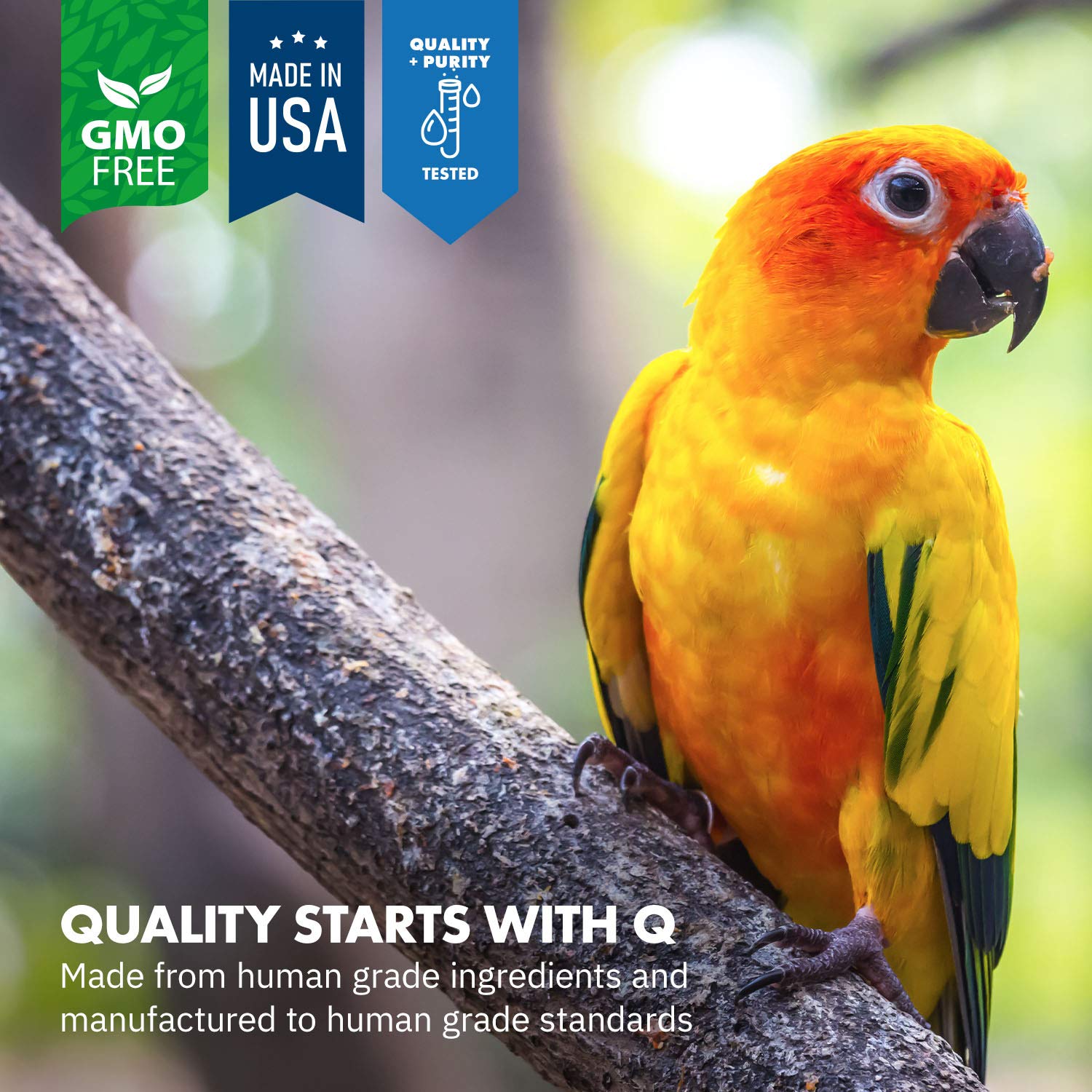 Equa Holistics Avian Calm ingredients L-theanine highlight