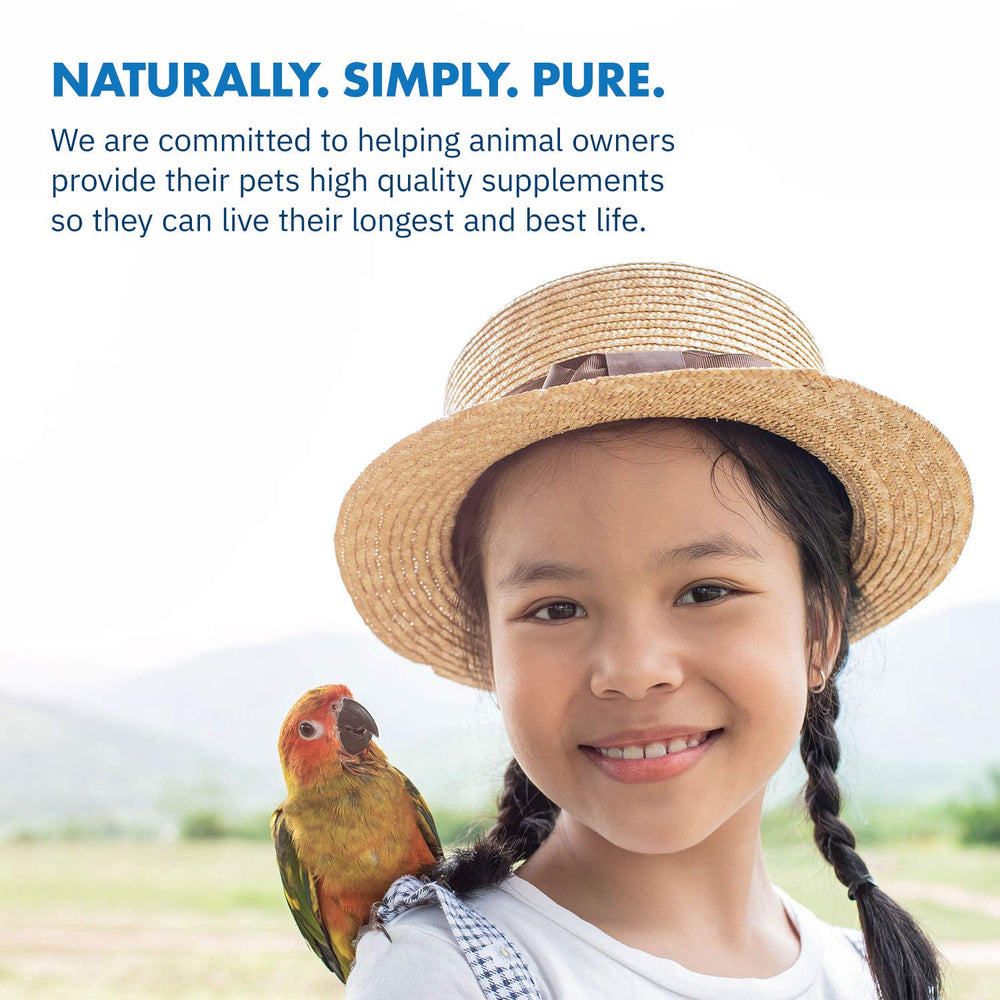 Equa Holistics Avian Calm travel scene suggesting stress relief on trips