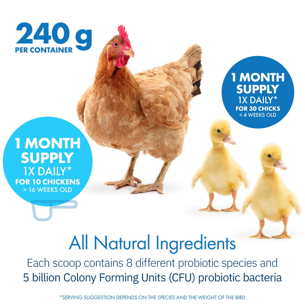 Equa Holistics HealthyGut all-natural formula image signals non-GMO, USA-made quality.