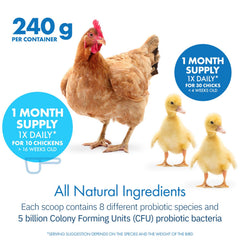 Equa Holistics HealthyGut all-natural formula image signals non-GMO, USA-made quality.