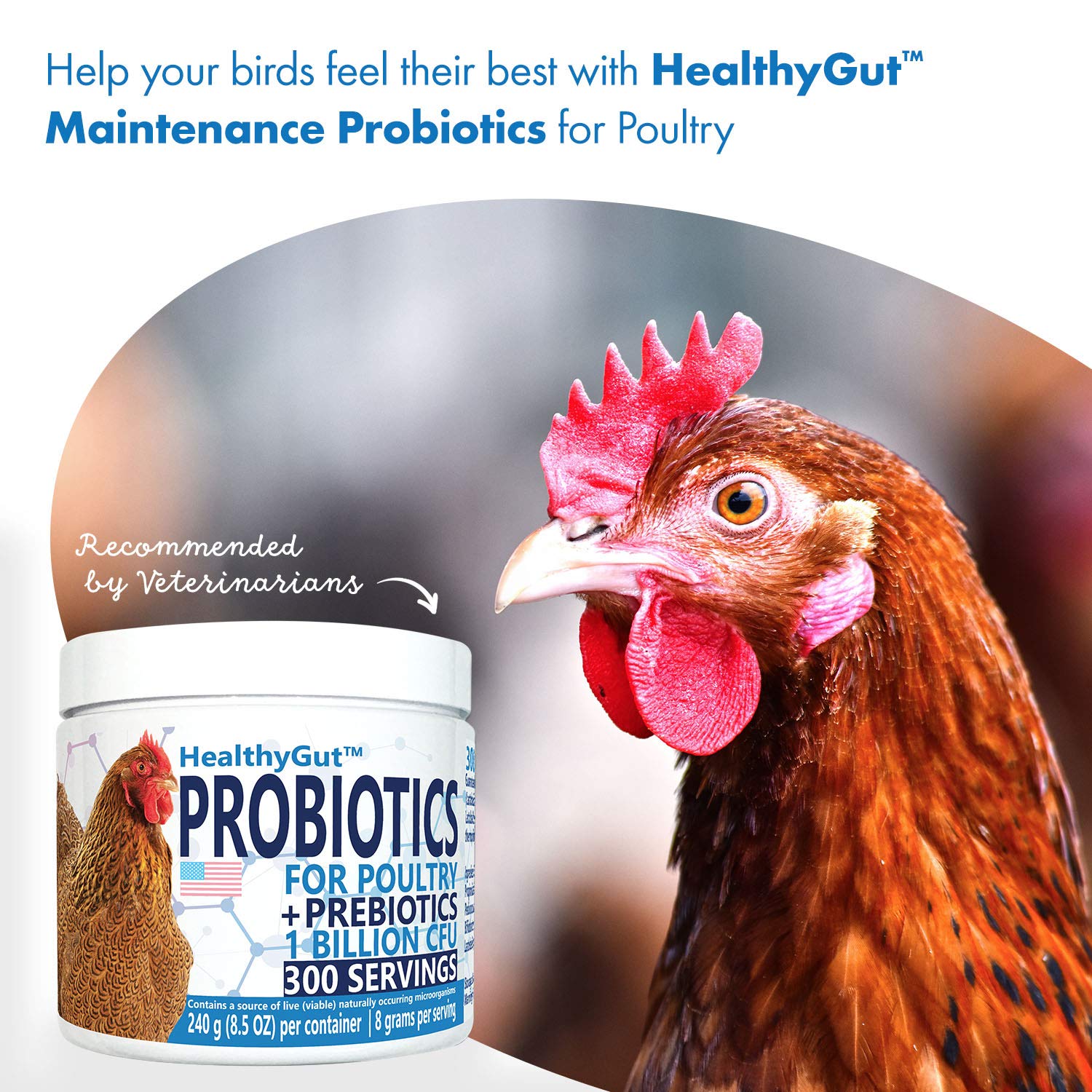 Equa Holistics HealthyGut egg-laying-support photo implies benefits for egg-producing birds.