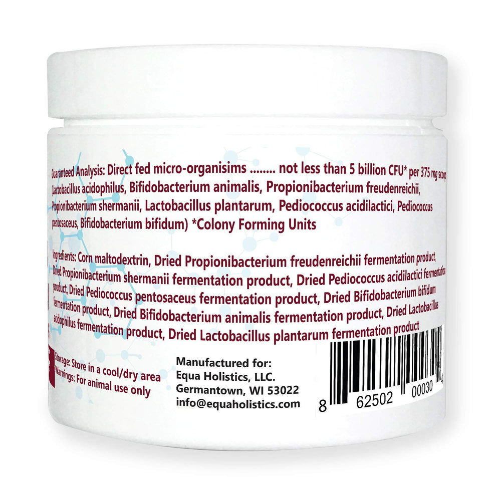 Equa Holistics HealthyGut 600-servings-jar signals long-lasting daily probiotic regimen.