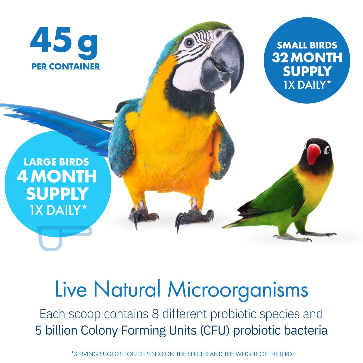 Equa Holistics HealthyGut label-ingredients reveals eight probiotic species for microbiome balance.