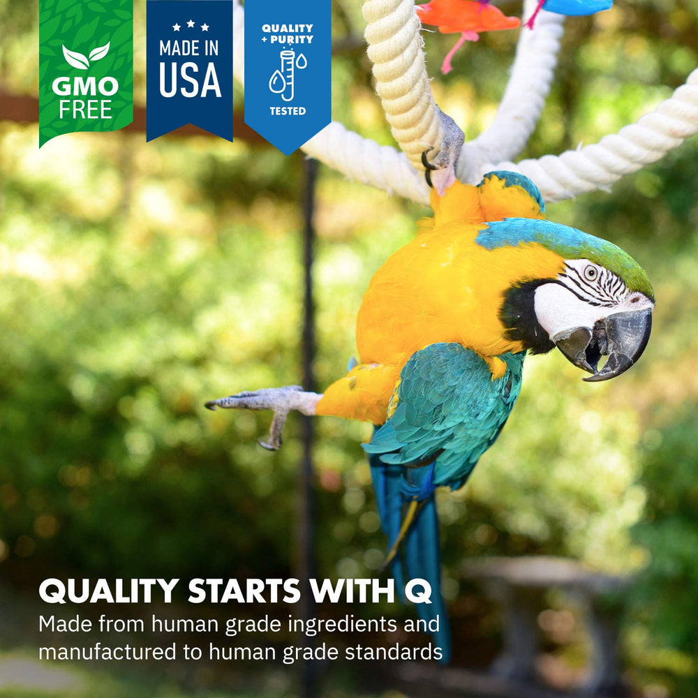 Equa Holistics HealthyGut powder on bird food highlights easy daily use.
