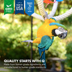 Equa Holistics HealthyGut powder on bird food highlights easy daily use.
