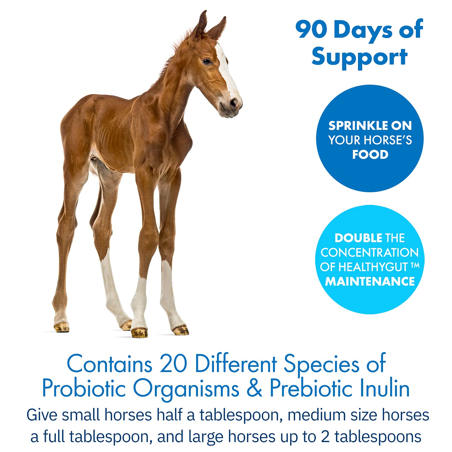 Equa Holistics HealthyGut Probiotics for Horses bottle highlights 20 probiotic species for diversity.