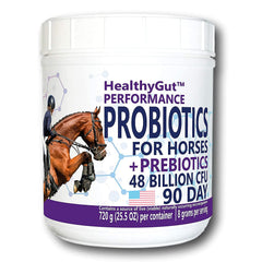 Equa Holistics HealthyGut Probiotics for Horses bottle on counter promotes daily digestive support.