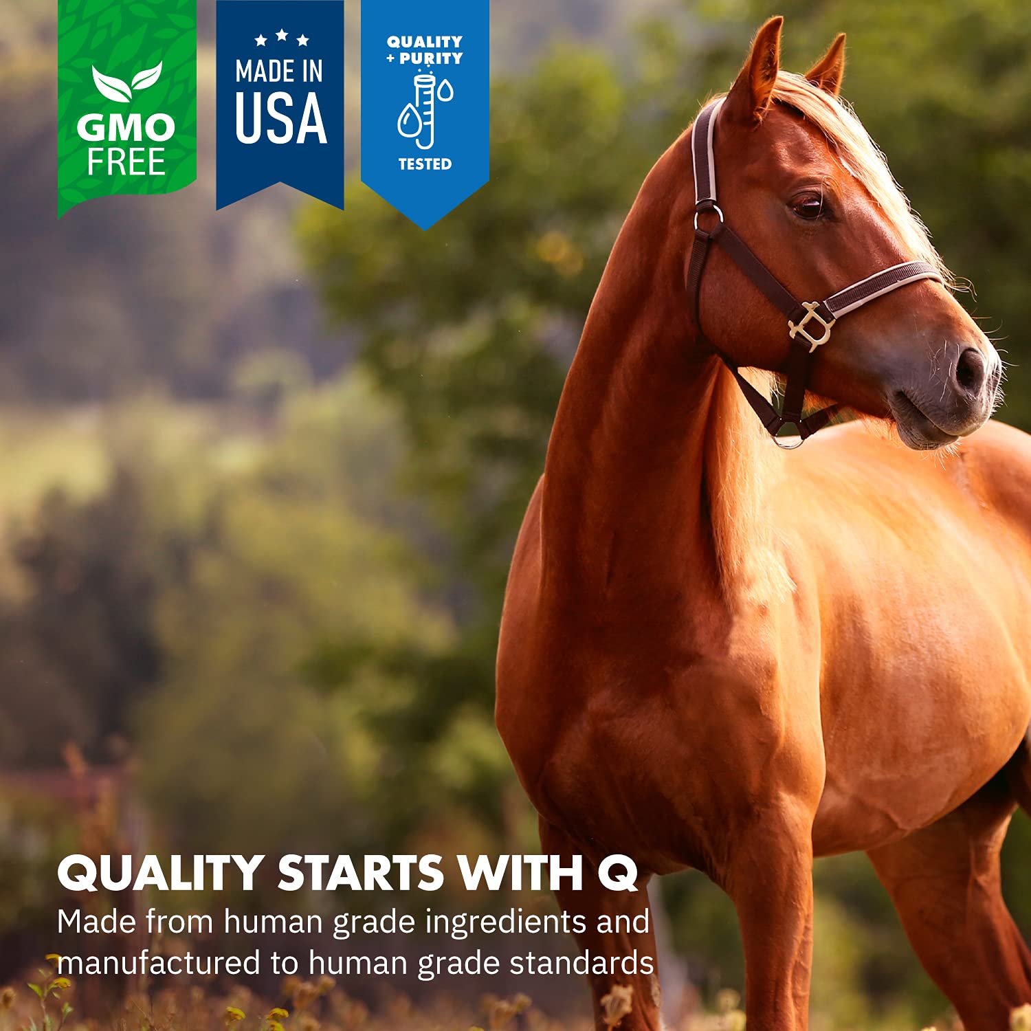 Equa Holistics HealthyGut Probiotics for Horses daily-use packaging shown with spoon.