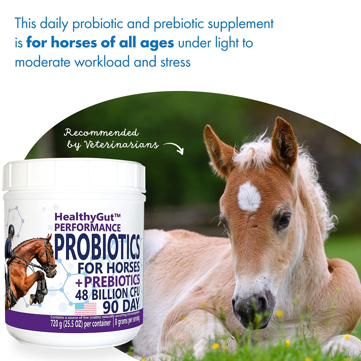 Equa Holistics HealthyGut Probiotics for Horses label emphasizes ingredients and purity standards.
