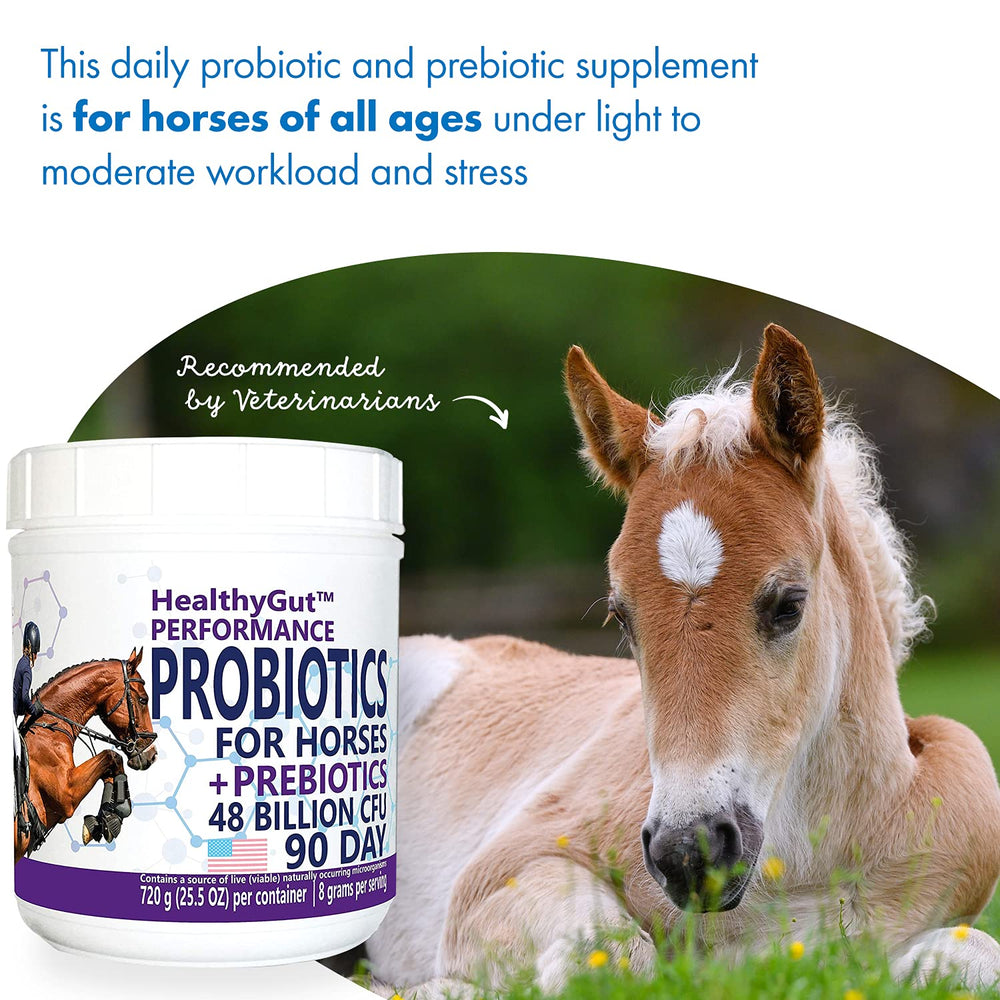 Equa Holistics HealthyGut Probiotics for Horses label emphasizes ingredients and purity standards.