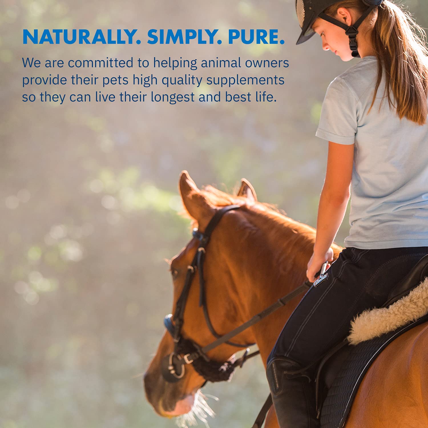 Equa Holistics HealthyGut Probiotics for Horses natural, human-grade ingredients for purity.