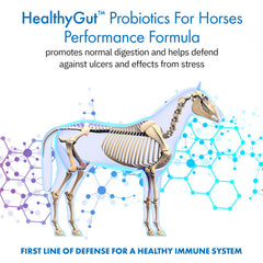 Equa Holistics HealthyGut Probiotics for Horses powder sprinkled on feed for hindgut balance.