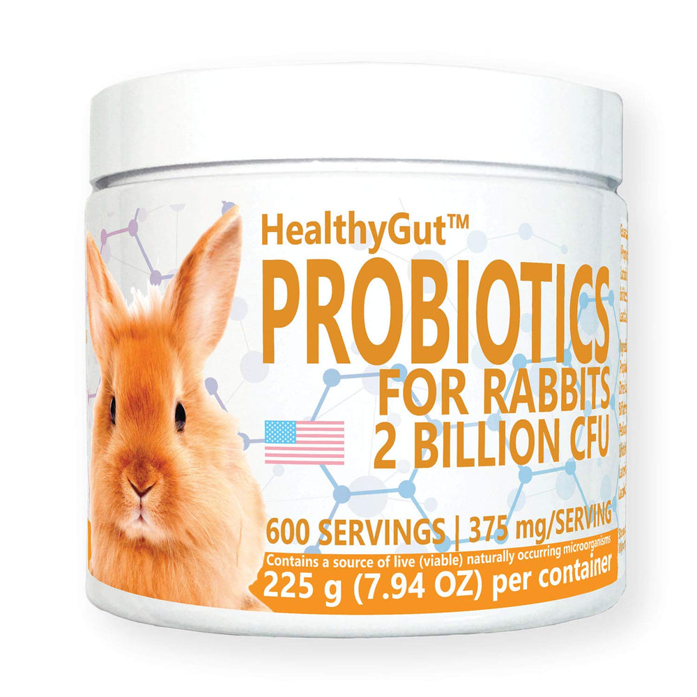 Equa Holistics HealthyGut probiotics bottle for daily rabbit digestive support