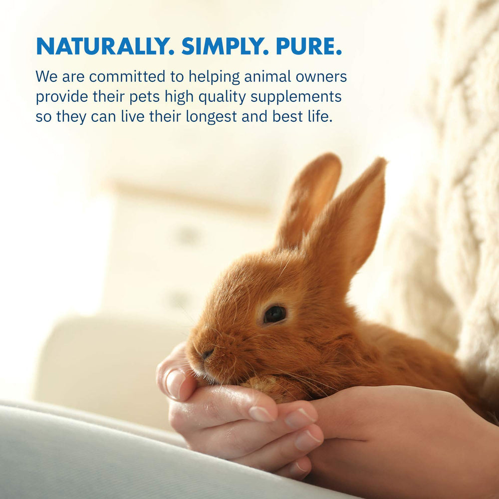Equa Holistics HealthyGut label highlighting 600 servings and purity standards