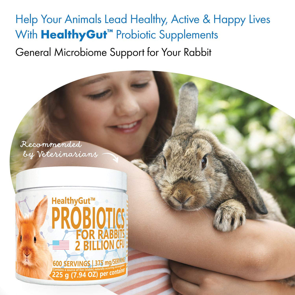 Equa Holistics HealthyGut packaging scene for USA-made, non-GMO formula