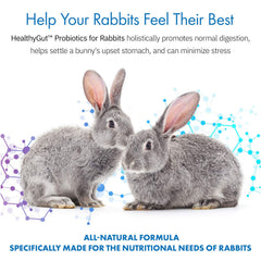 Equa Holistics HealthyGut powder with scoop for easy daily dosing in rabbits