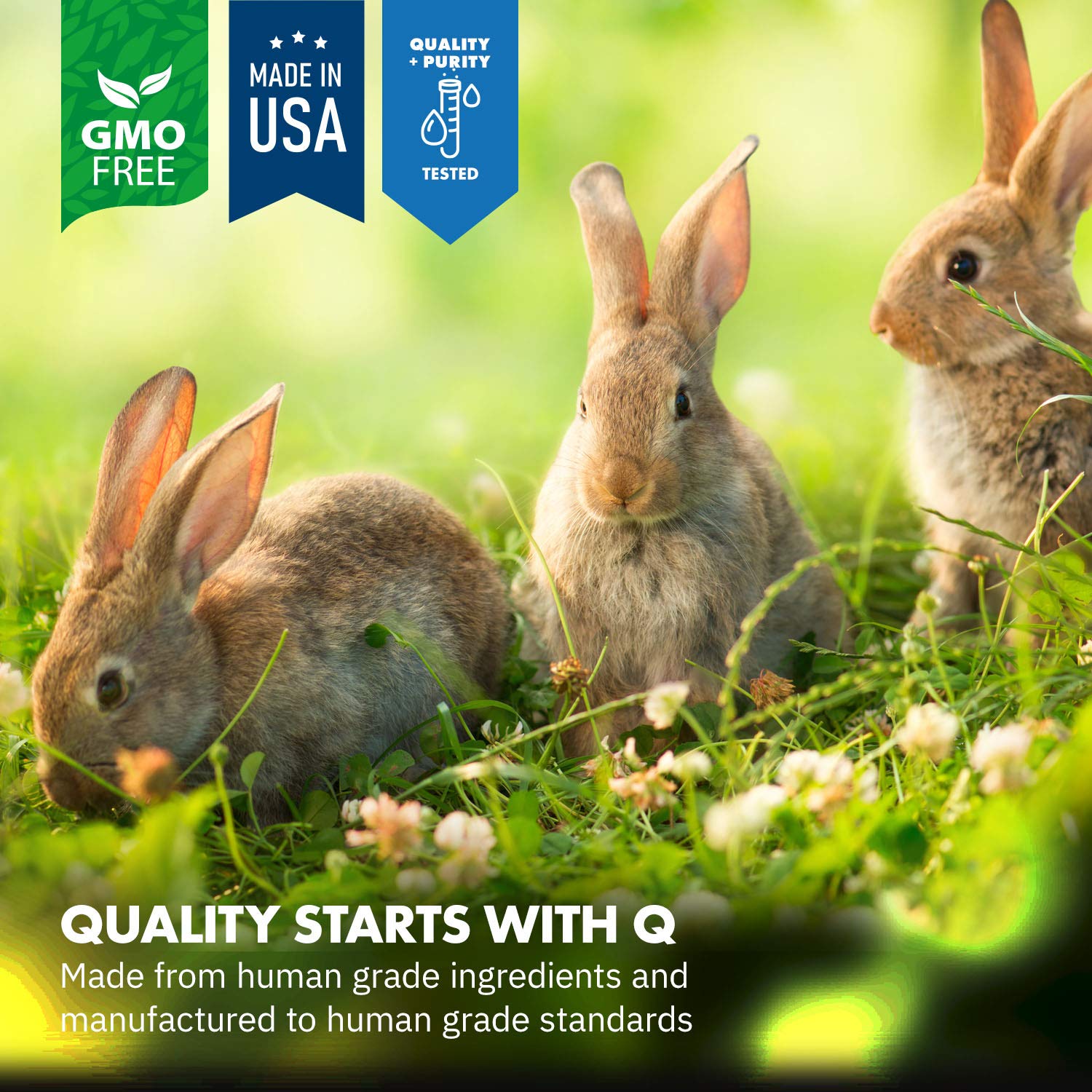 Equa Holistics HealthyGut probiotics sprinkled onto rabbit food for digestion