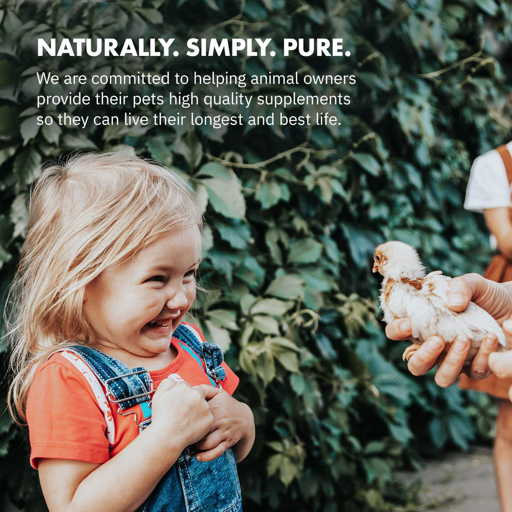 Equa Holistics HealthyGut US-made-label communicates rigorous quality-control for poultry supplements.