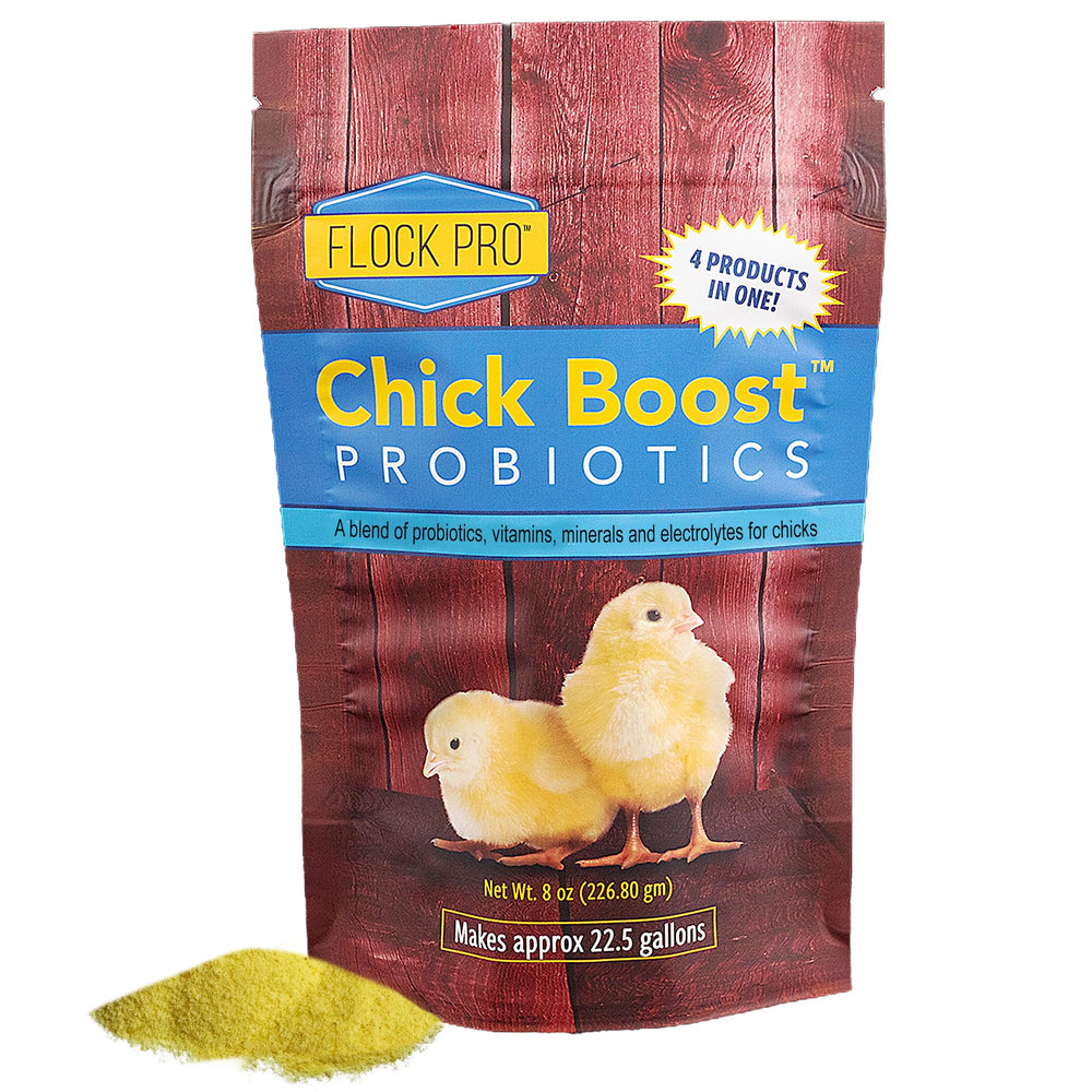 Equerry's Chick Boost Probiotic bottle pour shows easy daily dosing for chicks