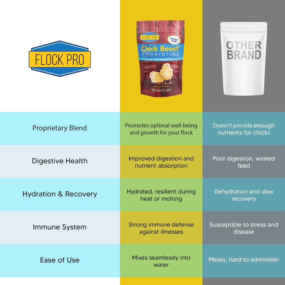 Equerry's Chick Boost dissolving in water for quick, lab-friendly mixing