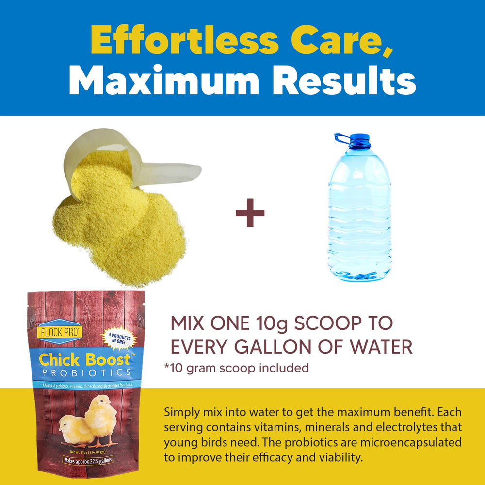Equerry's Chick Boost water-mix ready scene for daily use
