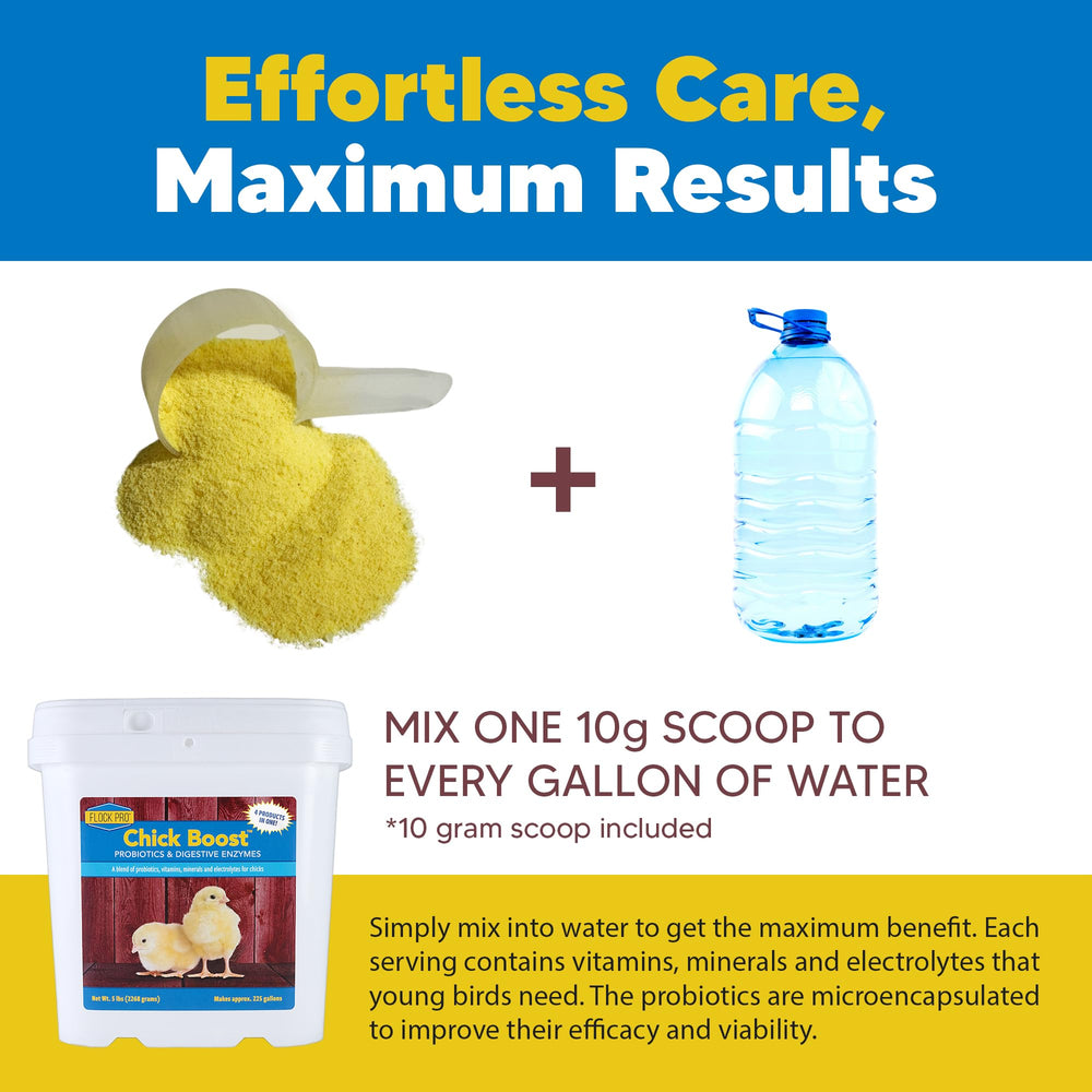 Equerry's Flock PRO product in coop setup shows everyday hydration support for chicks