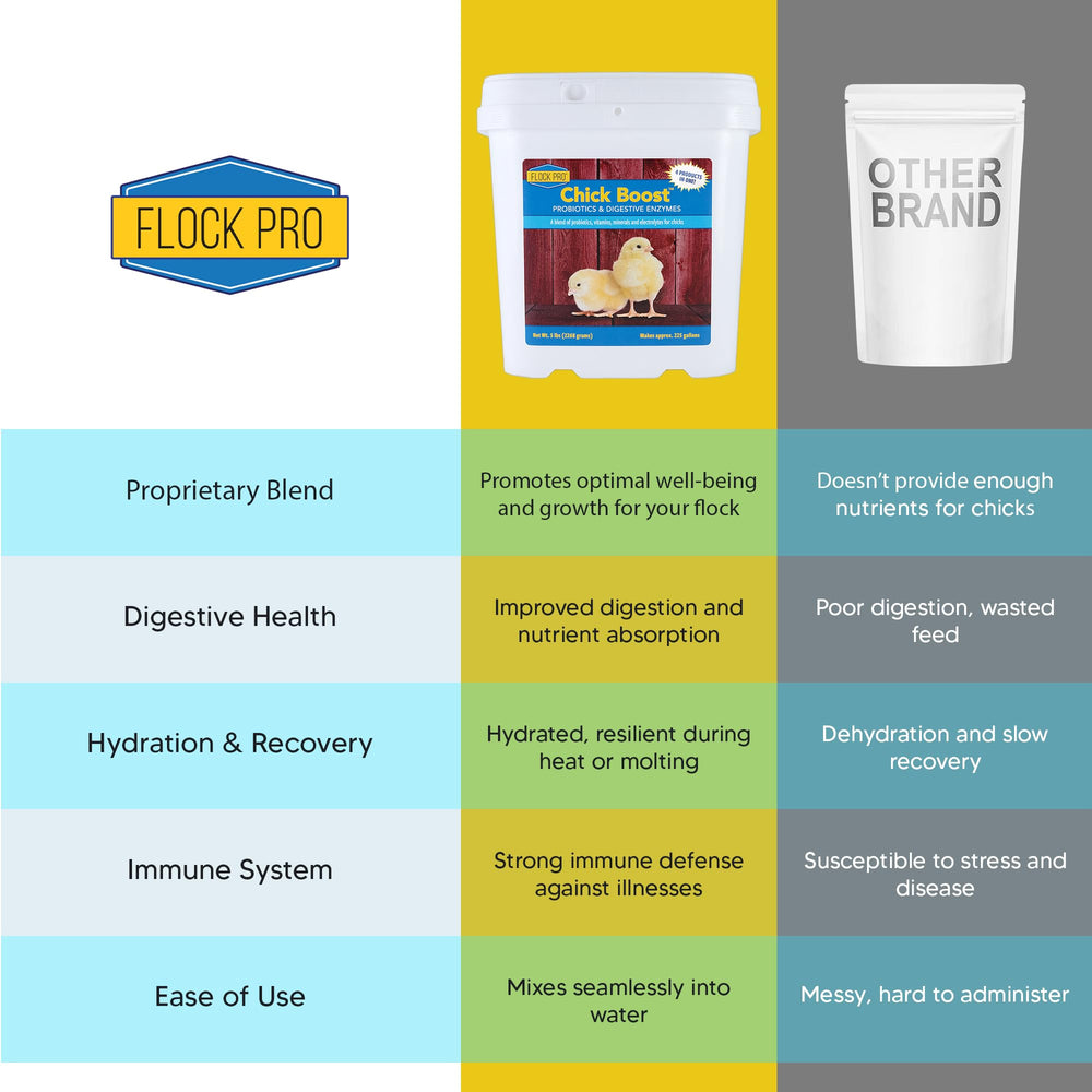 Equerry's Flock PRO dispensing-water photo suggests easy daily dosing for young birds