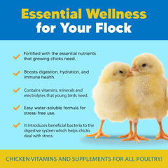 Equerry's Flock PRO probiotic grains image shows microencapsulated strains for hatchling viability