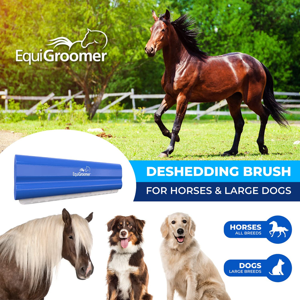 EquiGroomer deshedding brush blade closeup highlights gentle steel teeth for sensitive skin.