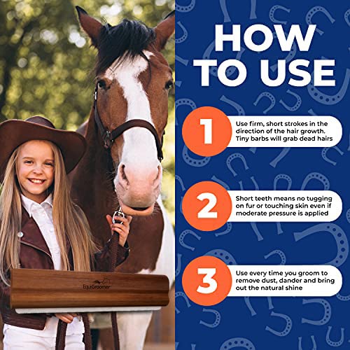 EquiGroomer coat-shine image shows dirt and dander removal for shine.