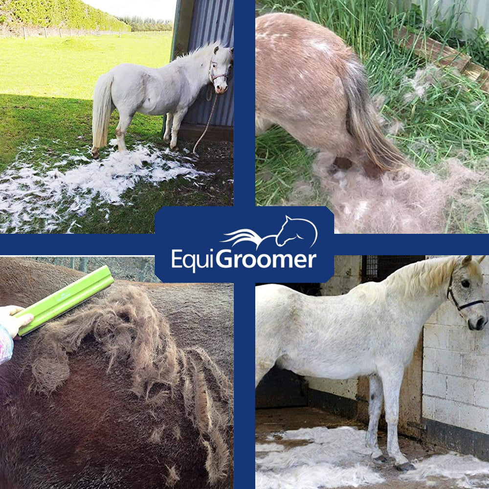 EquiGroomer deshedding brush blue-barbs closeup emphasizes quick dead-hair removal.