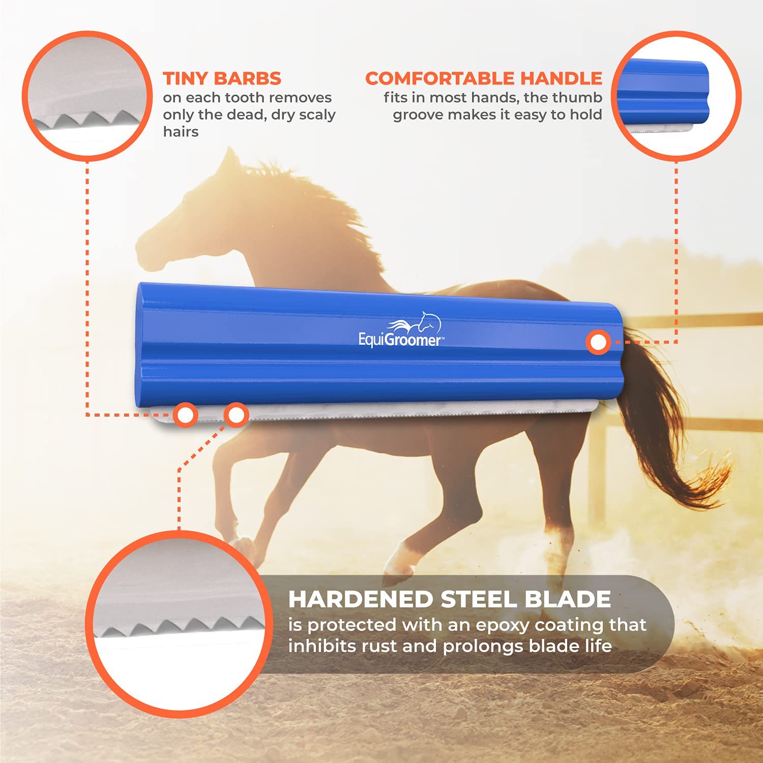 EquiGroomer deshedding brush on horse coat demonstrates year-round grooming benefits.