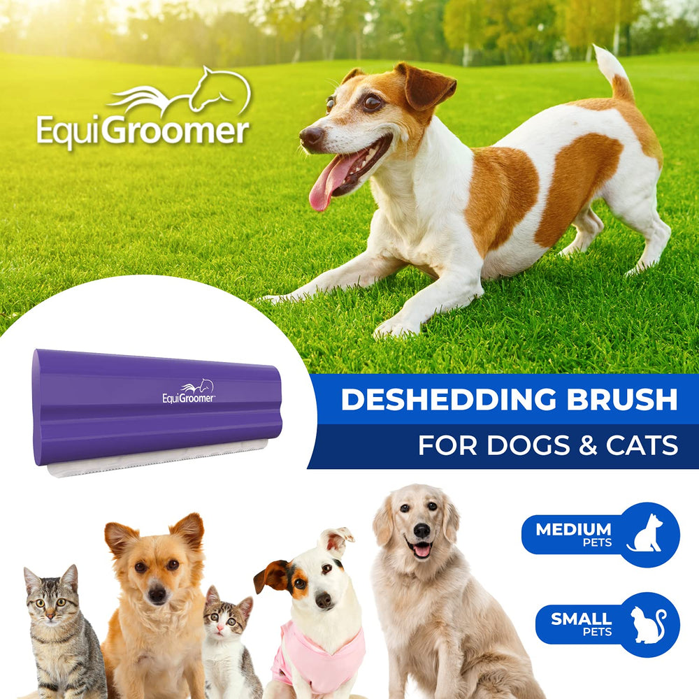 EquiGroomer EasyGroomer brush with hardened steel blade for safe fur removal