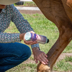 Equiderma Skin Lotion application sponge demonstrates easy, non-rinse use.