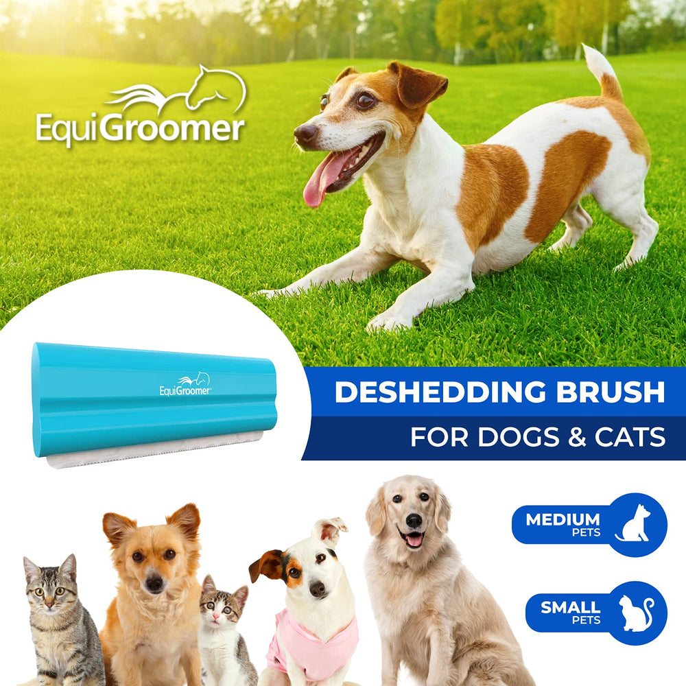EquiGroomer EasyGroomer with pet-safe blade demonstrates safe grooming on dogs and cats.