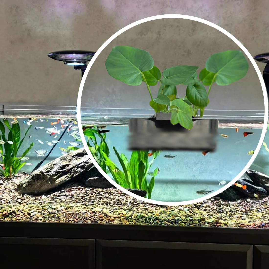 EQUIJUANCE aquarium-plant-holder multi-slot shows customizable planting for varied sizes.