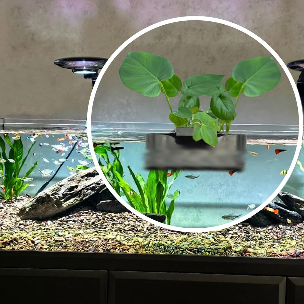 EQUIJUANCE aquarium-plant-holder multi-slot shows customizable planting for varied sizes.