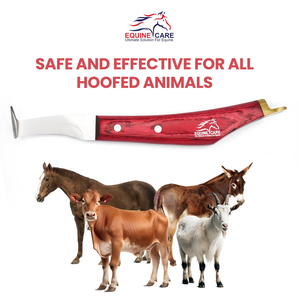 Equine Care hoof knife compact tool for easy toolkit storage