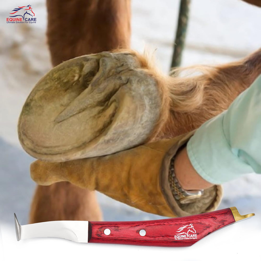 Equine Care hoof knife used for cow hoof care and livestock maintenance