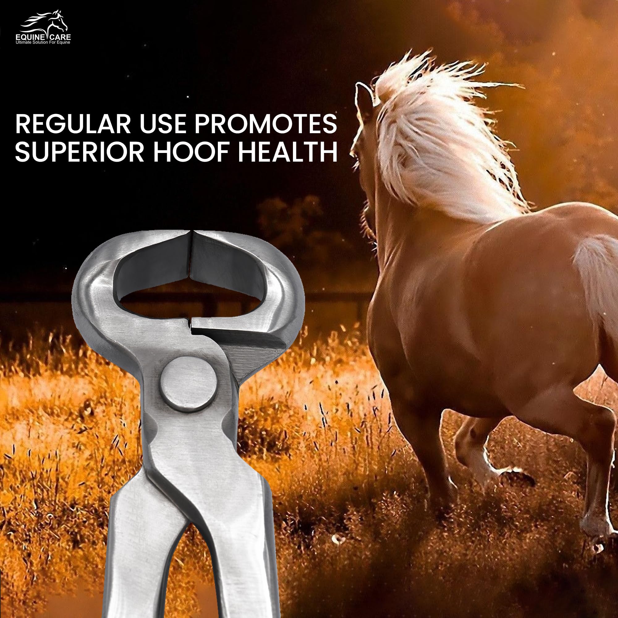 Equine Care hoof nippers trimming in action demonstrates efficient routine hoof maintenance.