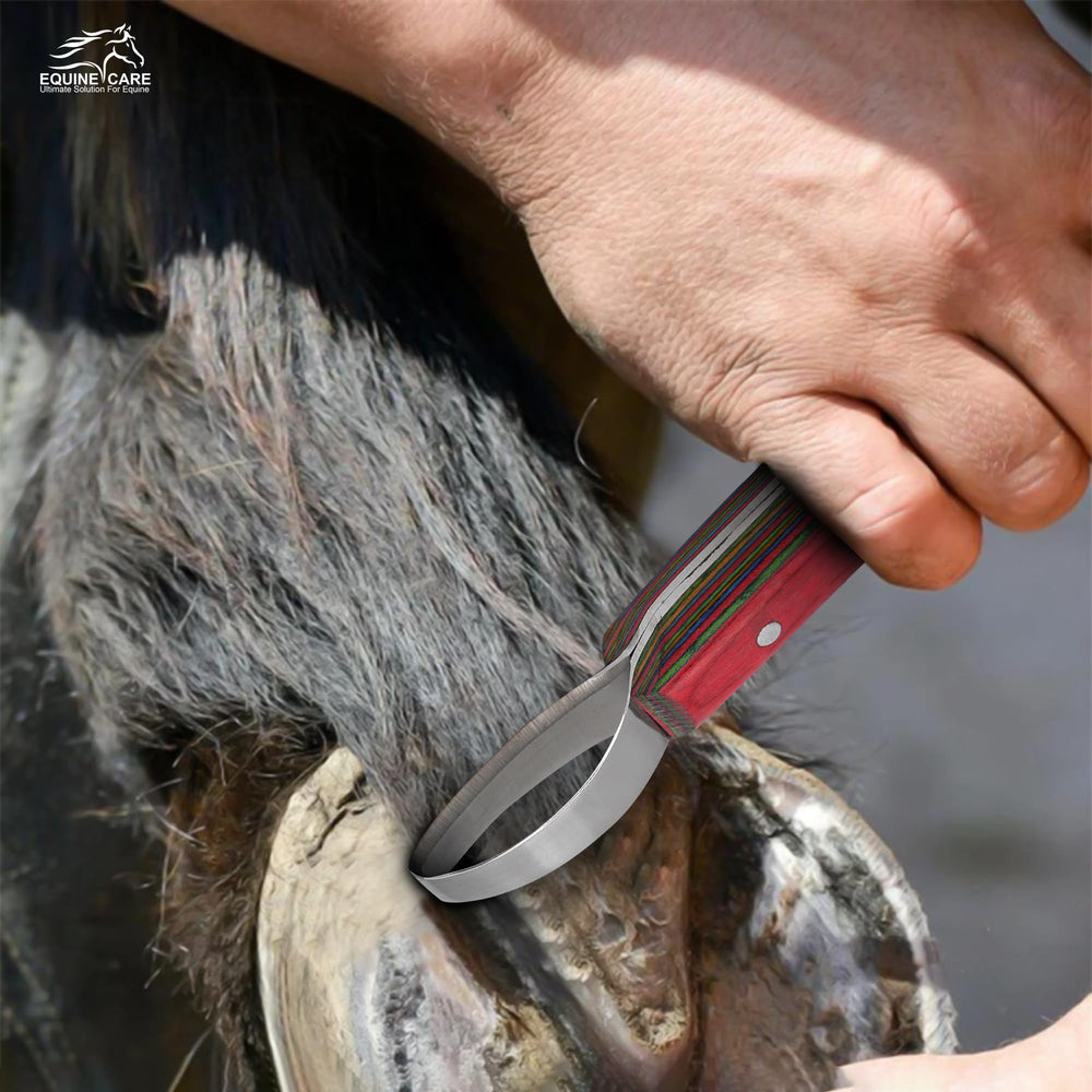 Equine Care tool in use shows left and right-handed compatibility