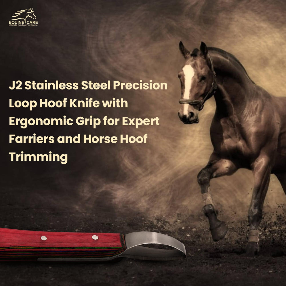 Equine Care sheet-handle hoof knife storage and easy handling