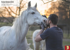 Equine Prime ivermectin usage on horses and sheep depicted to support herd health