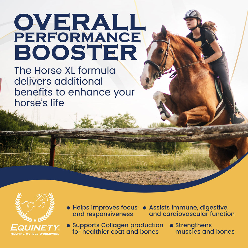 Equinety Horse XL coat-defense-powder close-up showing premium amino acids for muscle repair