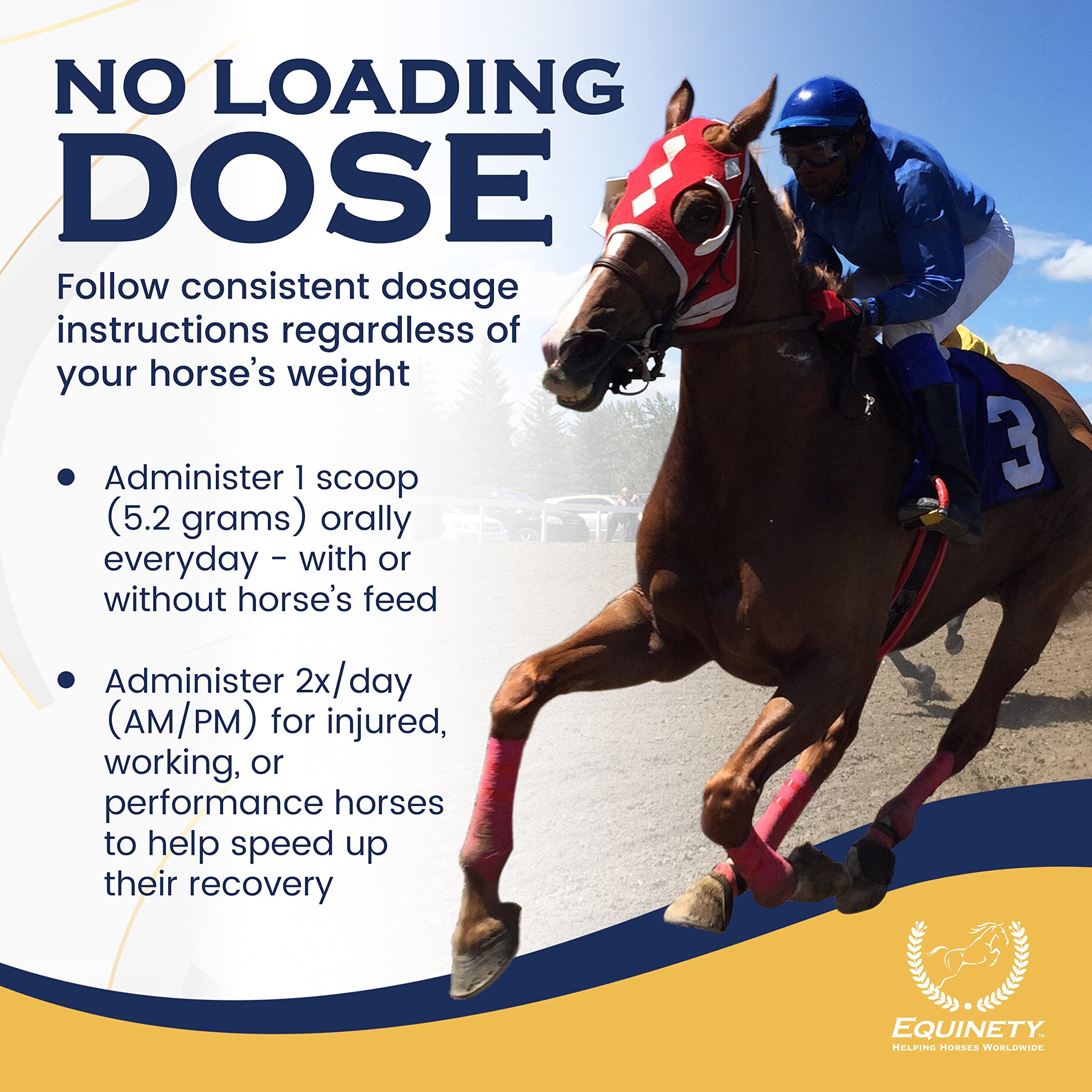 Equinety Horse XL hoof-support close-up on healthy hoof structure