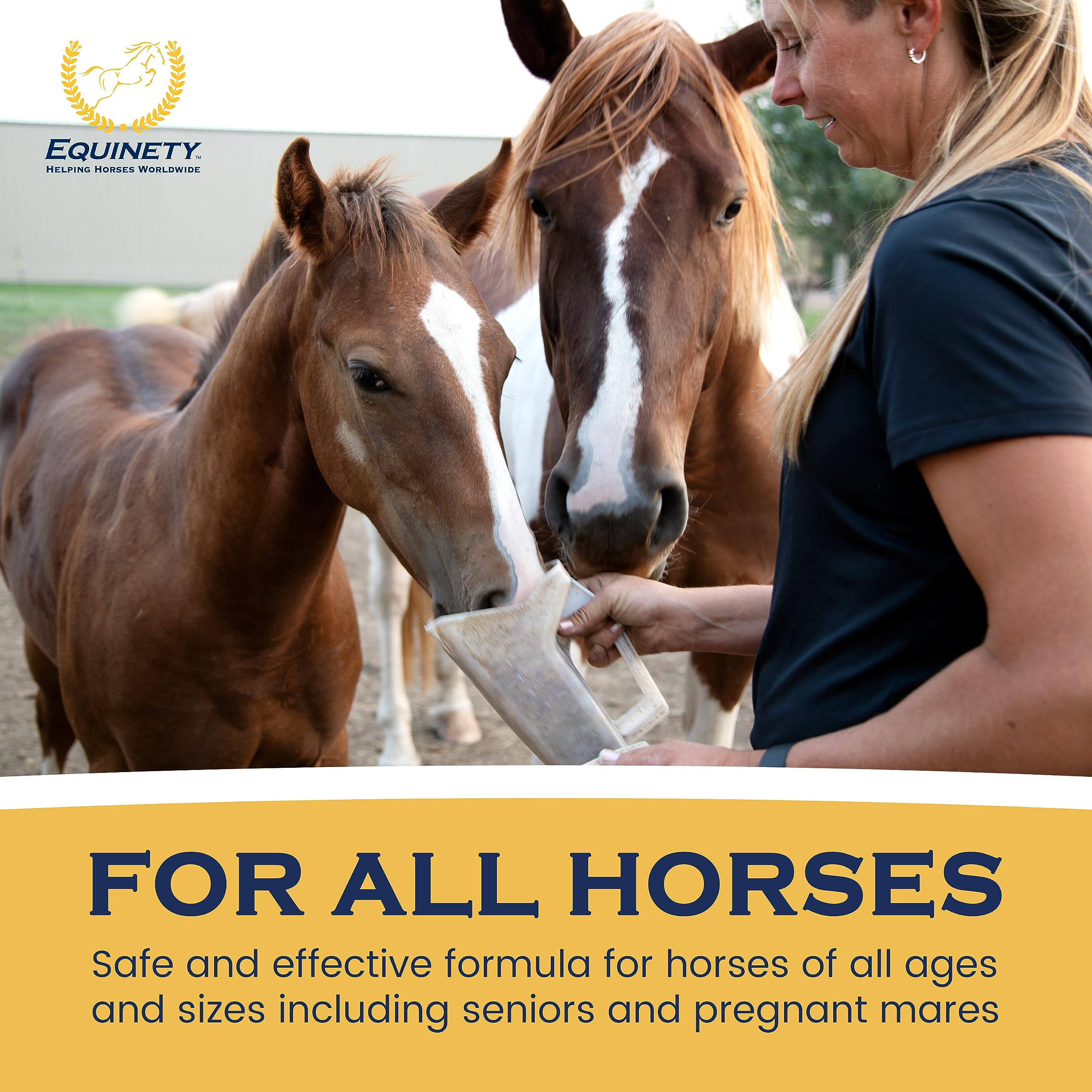 Equinety Horse XL usa-made badge visible on packaging