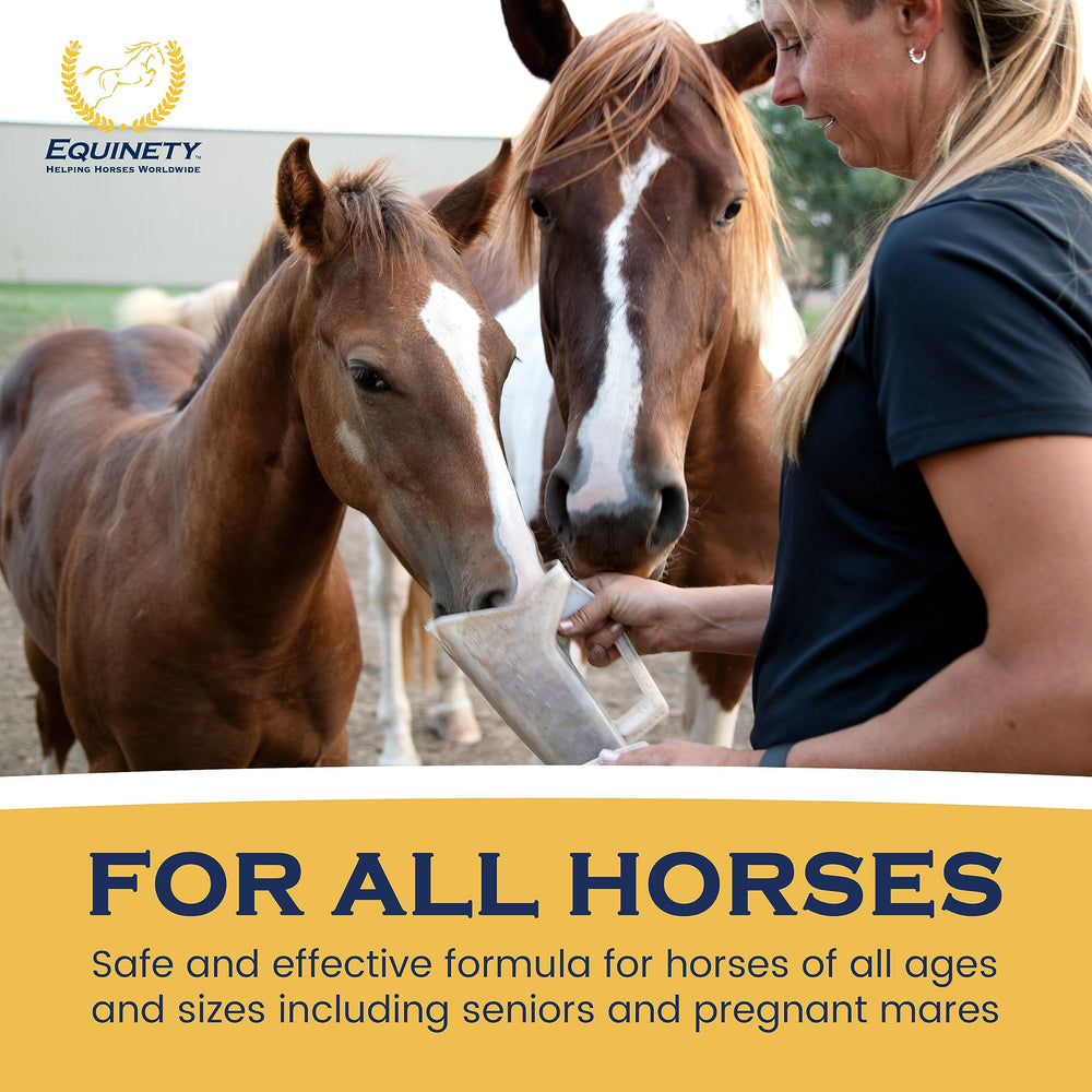 Equinety Horse XL usa-made badge visible on packaging