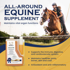 Equinety Ultimate OEC coat-shine reveals a healthy-looking coat after supplementation.