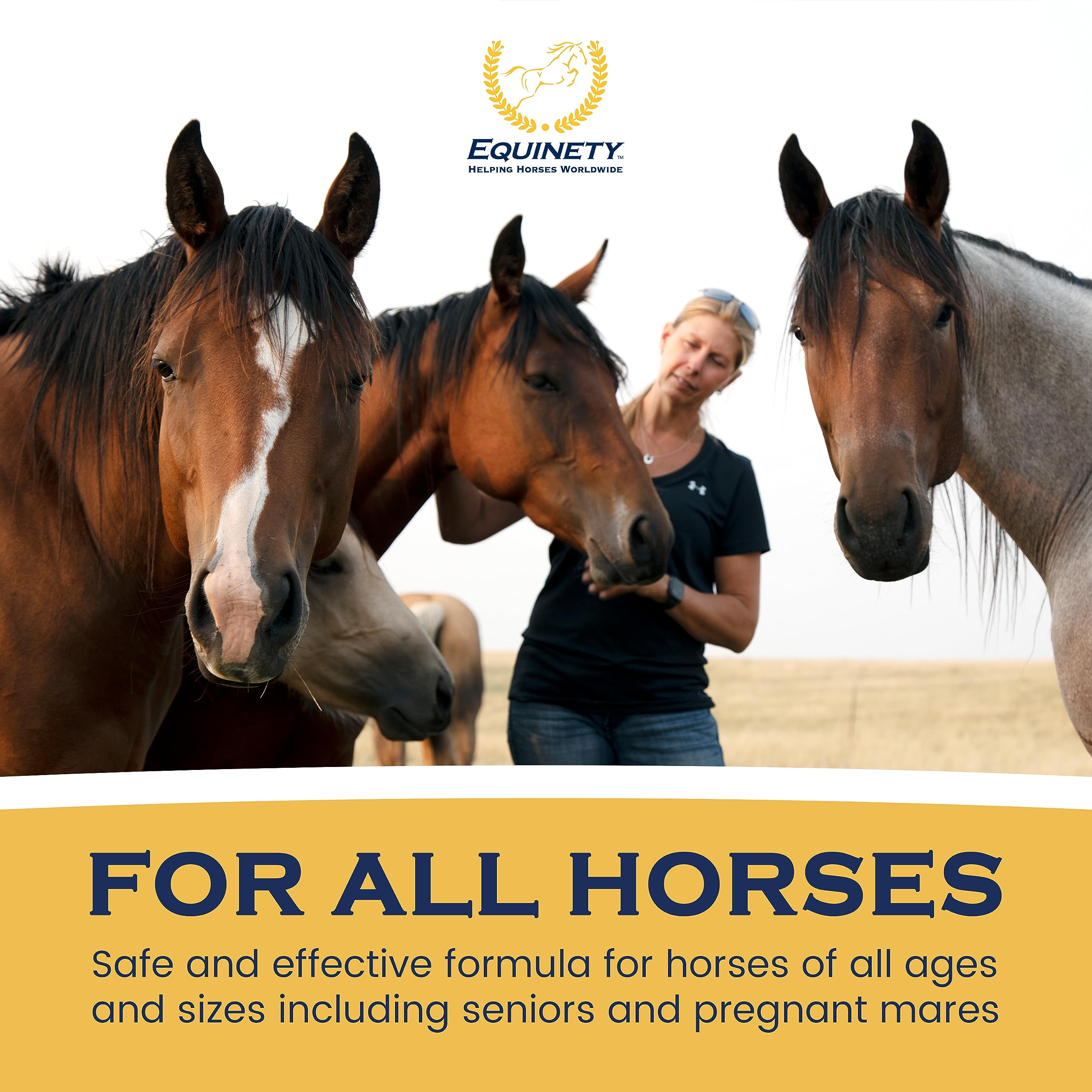 Equinety Ultimate OEC vet-approved badge communicates trusted formulation for equines.