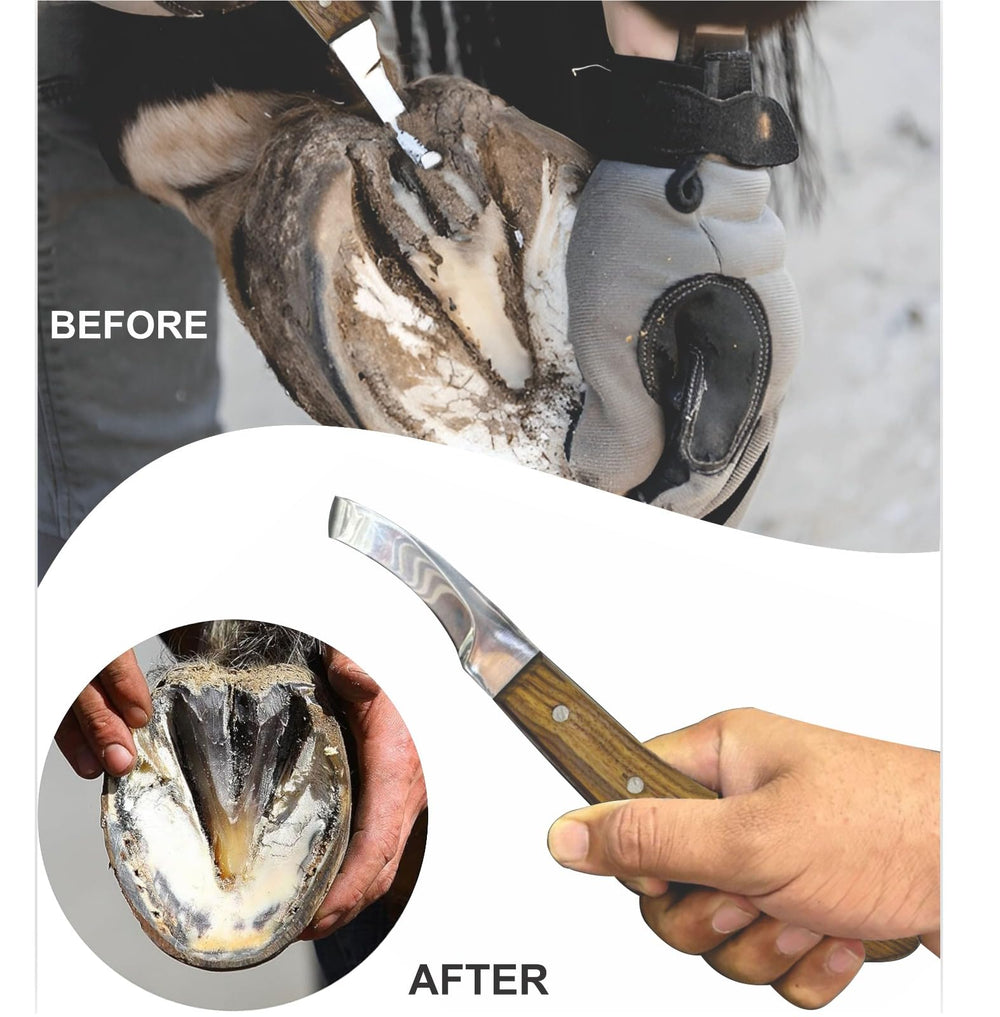 Equinez Tools durable stainless steel construction resisting rust for daily use.